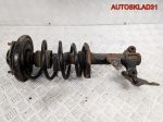 Амортизатор передний правый Nissan Primera P12 54302BA001 - АвтоСклад31.рф - авторазборка контрактные б/у запчасти в г. Белгород