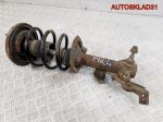 Амортизатор передний левый Nissan Primera P12 54303BA001 - АвтоСклад31.рф - авторазборка контрактные б/у запчасти в г. Белгород