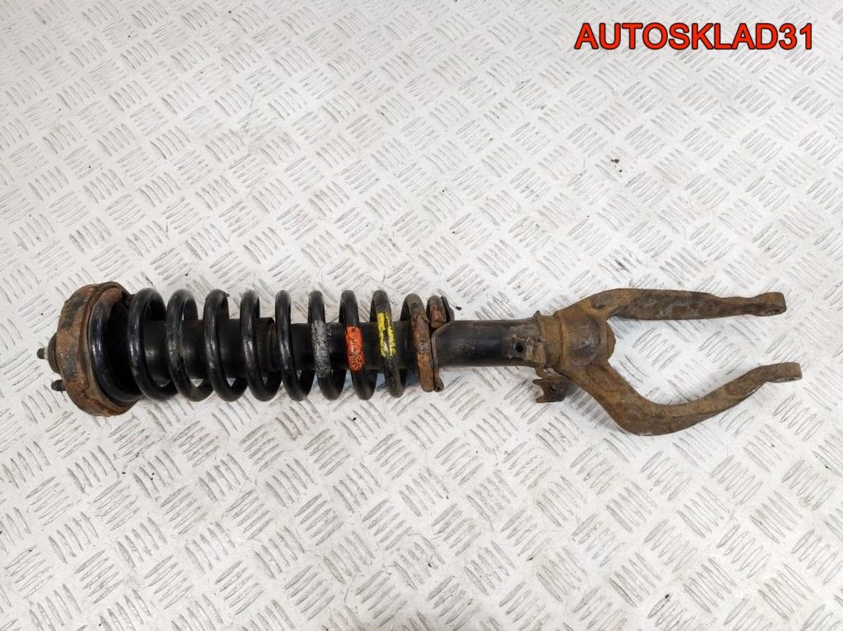 Амортизатор передний левый Honda Shuttle 51602SX0A01 - АвтоСклад31.рф - авторазборка контрактные б/у запчасти в г. Белгород