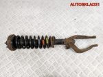 Амортизатор передний левый Honda Shuttle 51602SX0A01 - АвтоСклад31.рф - авторазборка контрактные б/у запчасти в г. Белгород