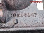 Кронштейн двигателя Opel Sintra 2,2 X22XE 10236347 - АвтоСклад31.рф - авторазборка контрактные б/у запчасти в г. Белгород