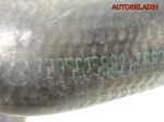 Патрубок радиатора Mercedes W203 1,8 Компрессор A2035015582 - АвтоСклад31.рф - авторазборка контрактные б/у запчасти в г. Белгород