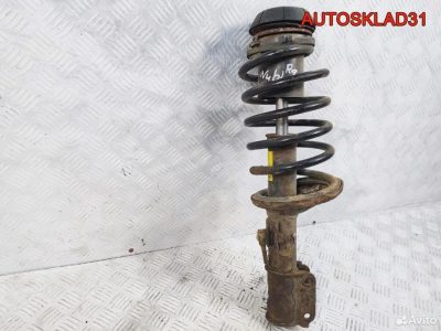 Амортизатор передний правый Daewoo Nubira 96454523 - АвтоСклад31.рф - авторазборка контрактные б/у запчасти в г. Белгород