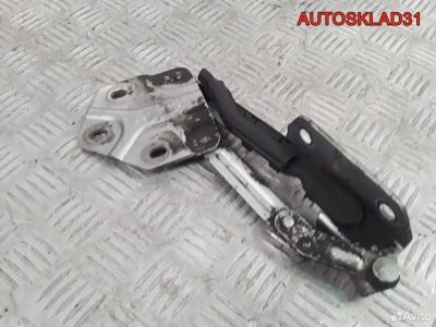 Петля капота правая Volkswagen Touran 1T0823302B - АвтоСклад31.рф - авторазборка контрактные б/у запчасти в г. Белгород
