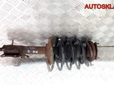 Амортизатор передний правый в сборе Nissan Almera N16 - АвтоСклад31.рф - авторазборка контрактные б/у запчасти в г. Белгород