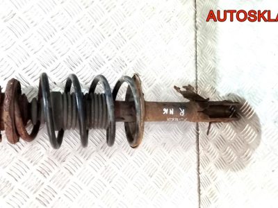 Амортизатор передний правый в сборе Nissan Almera N16 - АвтоСклад31.рф - авторазборка контрактные б/у запчасти в г. Белгород