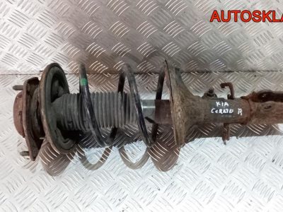Амортизатор передний правый в сборе Kia Cerato 1 546611M000 - АвтоСклад31.рф - авторазборка контрактные б/у запчасти в г. Белгород