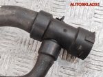 Патрубок радиатора VW Passat B5+ 1,9 Дизель 8D0121049H - АвтоСклад31.рф - авторазборка контрактные б/у запчасти в г. Белгород