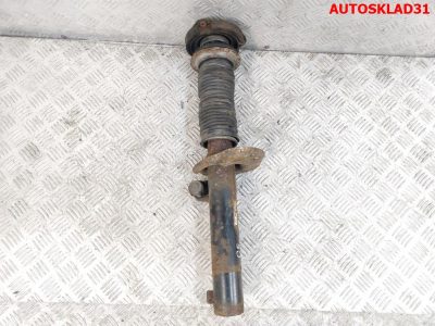 Амортизатор передний VW Golf 5 1T0413031FM - АвтоСклад31.рф - авторазборка контрактные б/у запчасти в г. Белгород