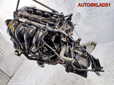 Двигaтель QQDB Ford Focus 2 1.8 Бензин Цена за СТОЛБИК - АвтоСклад31.рф - авторазборка контрактные б/у запчасти в г. Белгород