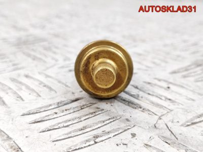 Датчик температуры Audi A6 C5 06A919501A - АвтоСклад31.рф - авторазборка контрактные б/у запчасти в г. Белгород