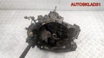 МКПП 20DM47 Citroen Berlingo M59 1,9 PSA WJY 10DXFR Дизель - АвтоСклад31.рф - авторазборка контрактные б/у запчасти в г. Белгород