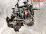 Двигатель BMD VW Polo 4 1,2 Бензин - АвтоСклад31.рф - авторазборка контрактные б/у запчасти в г. Белгород