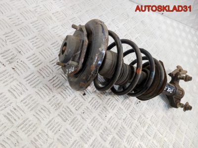 Амортизатор передний правый Nissan Primera P12 54302BA001 - АвтоСклад31.рф - авторазборка контрактные б/у запчасти в г. Белгород