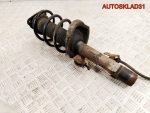 Амортизатор передний правый Ford Focus 2 4M5118045BBB - АвтоСклад31.рф - авторазборка контрактные б/у запчасти в г. Белгород