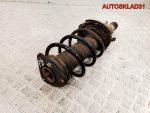 Амортизатор передний правый Ford Focus 2 4M5118045BBB - АвтоСклад31.рф - авторазборка контрактные б/у запчасти в г. Белгород