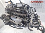 Двигатель BCB бензин 1.4 16V VW Golf 4 Цена за СТОЛБИК - АвтоСклад31.рф - авторазборка контрактные б/у запчасти в г. Белгород